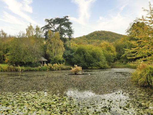 property Low res Images}