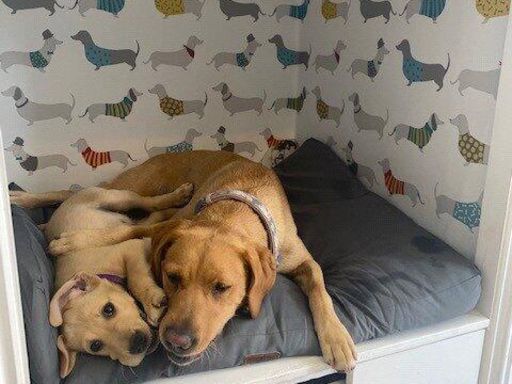 property Low res Images}