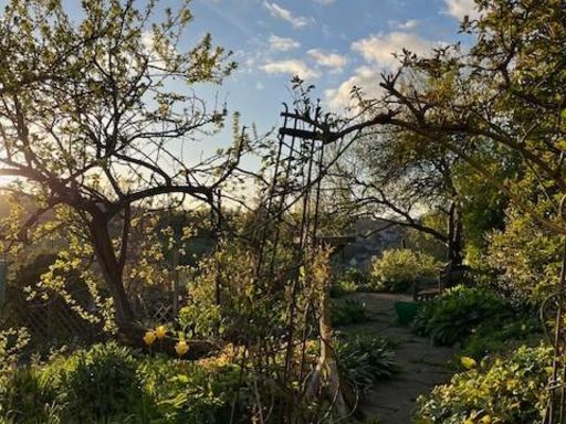 property Low res Images}