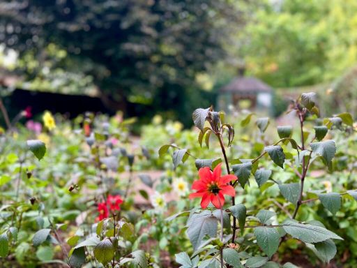 property Low res Images}