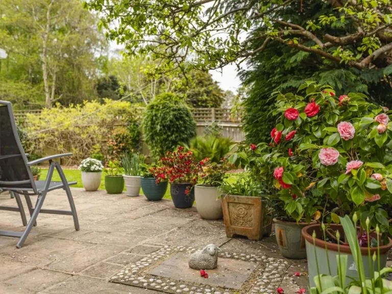 property Compatible Images}