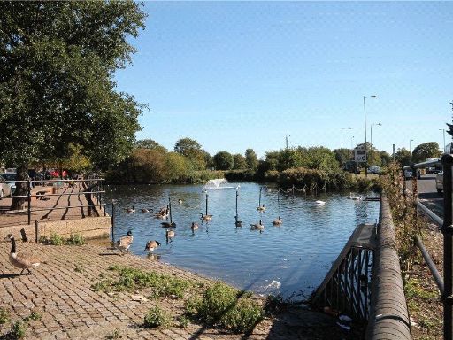 property Low res Images}