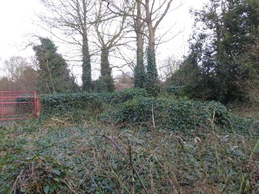 property Low res Images}