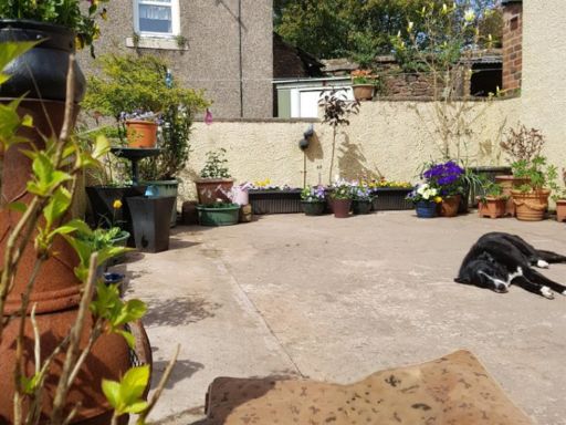 property Low res Images}