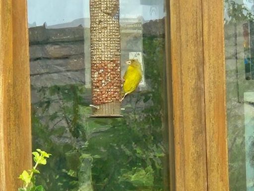 property Low res Images}