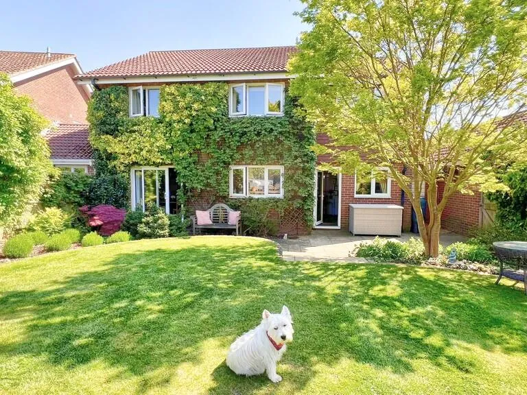 property Compatible Images}