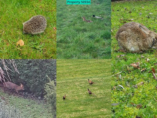 property Low res Images}