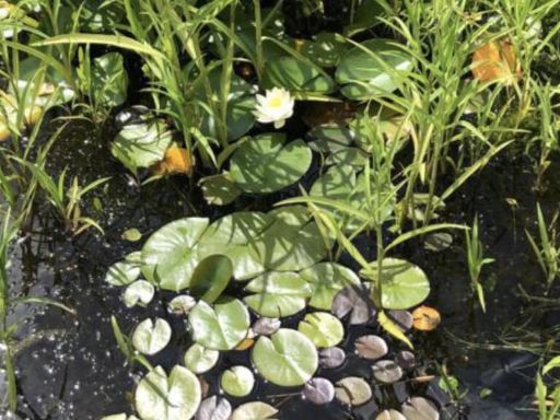 property Low res Images}