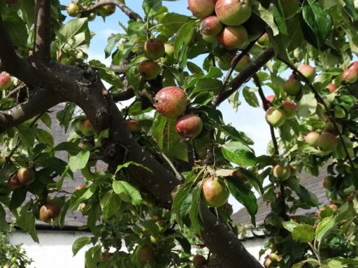 property Low res Images}