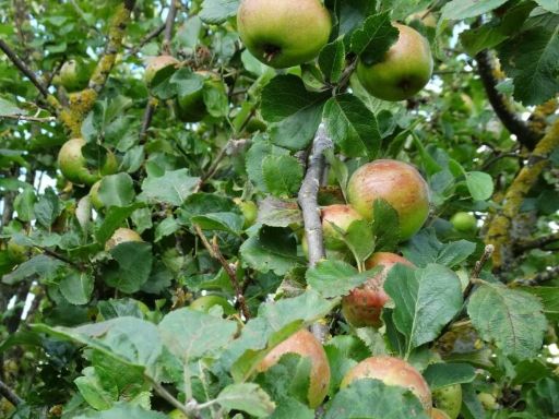 property Low res Images}