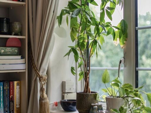 property Low res Images}