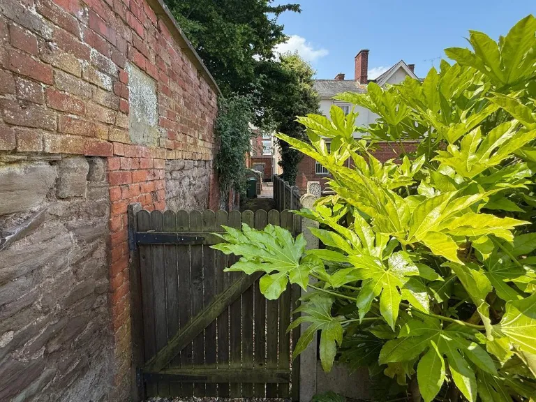 property Compatible Images}