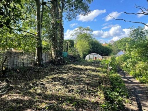 property Low res Images}