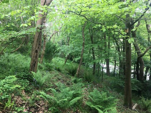 property Low res Images}