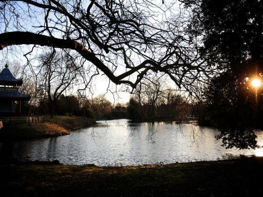 property Low res Images}