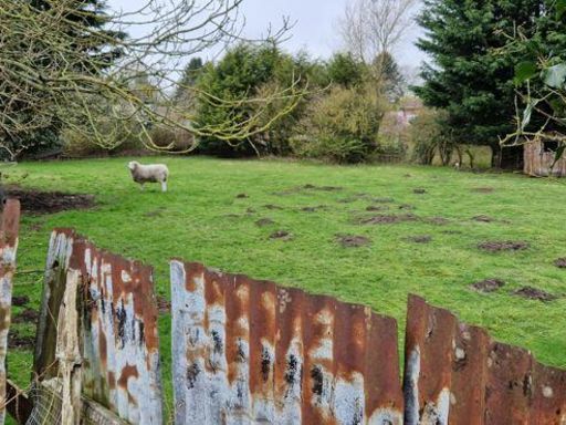 property Low res Images}