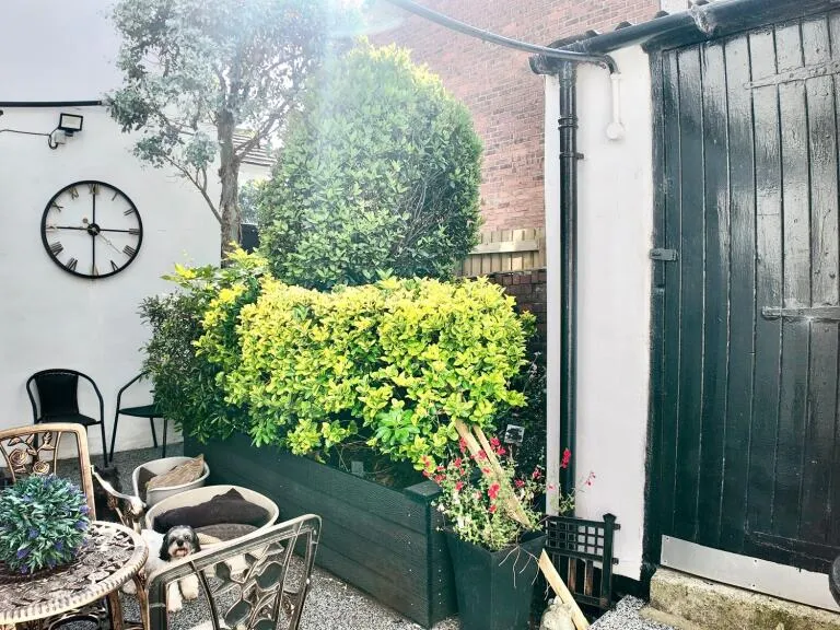 property Compatible Images}