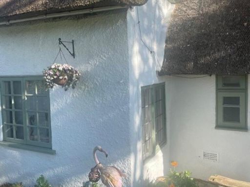 property Low res Images}