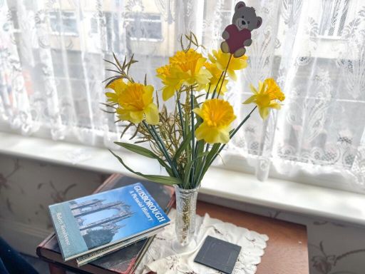 property Low res Images}