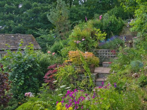 property Low res Images}