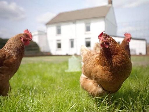 property Low res Images}