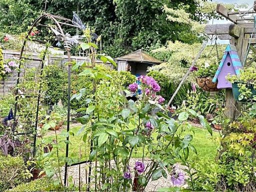 property Low res Images}