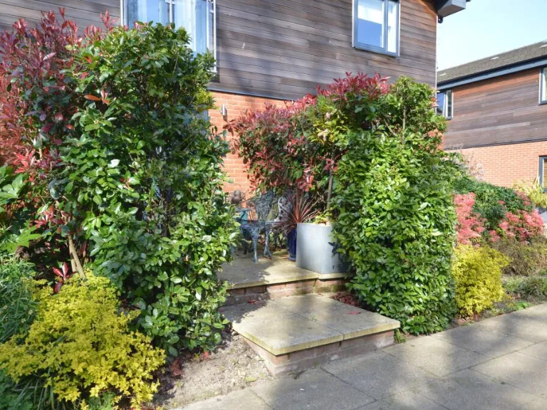 property Compatible Images}